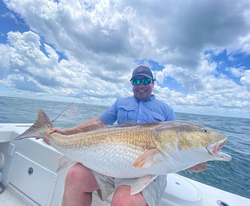 Reel Redfish, feel it!